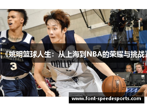 《姚明篮球人生：从上海到NBA的荣耀与挑战》