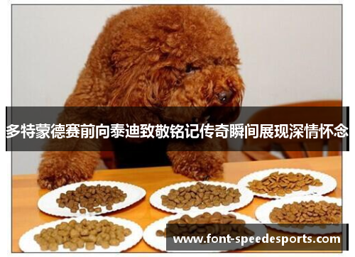 多特蒙德赛前向泰迪致敬铭记传奇瞬间展现深情怀念