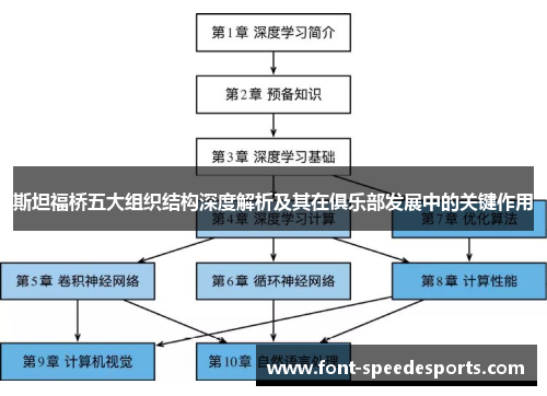 斯坦福桥五大组织结构深度解析及其在俱乐部发展中的关键作用