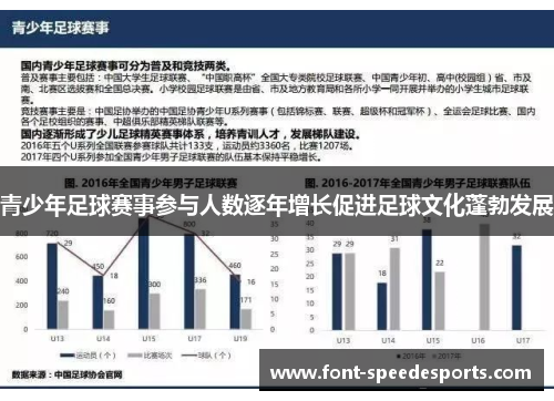 青少年足球赛事参与人数逐年增长促进足球文化蓬勃发展