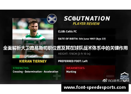 全面解析大卫路易斯司职位置及其在球队战术体系中的关键作用