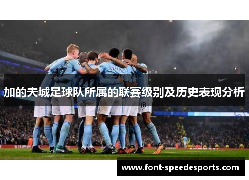 加的夫城足球队所属的联赛级别及历史表现分析 加的夫城足球队所属的联赛级别及历史表现分析