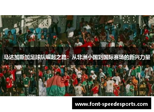马达加斯加足球队崛起之路：从非洲小国到国际赛场的新兴力量